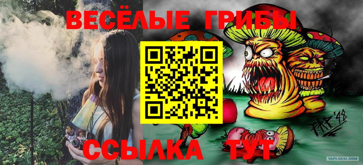 Псилоцибиновые грибы мухоморы  Вход с VPN  где продают наркотики  Сызрань  Псилоцибиновые грибы GOLDEN TEACHER 